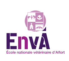 Image envoyée